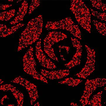 Seamless pattern with red roses and love heart on black background. Stock Illustration