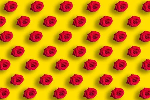 Seamless pattern of red roses on bright yellow background Stock Photos