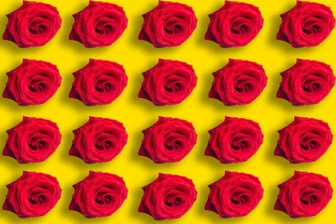 Seamless pattern of red roses on bright yellow background Stock Photos