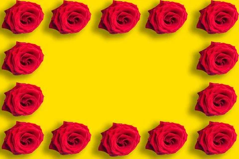 Seamless pattern of red roses on bright yellow background. Copy space for the Stockfoto's