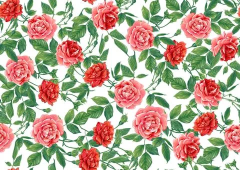 Seamless pattern with red roses flowers Stock Illustration