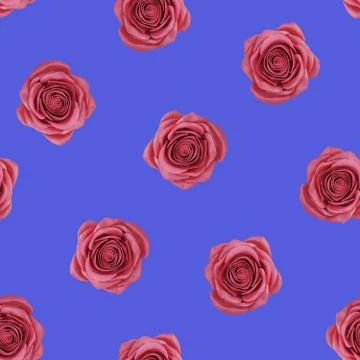 Seamless pattern of red roses Stock Illustration