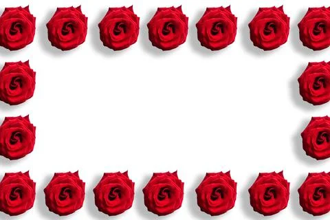 Seamless pattern of red roses isolated on white background. Copy space for th Stockfoto's