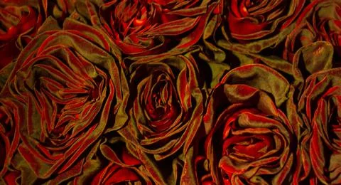 Seamless pattern with red roses Stock Photos