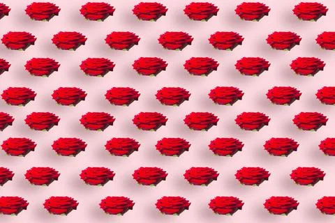 Seamless pattern of red roses on pink pastel background. Copy space for the t Stockfoto's