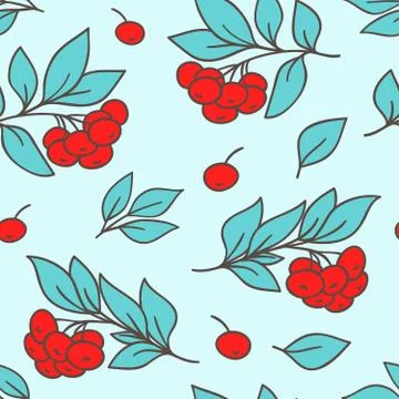 Seamless pattern with red rowanberry Stock Illustration