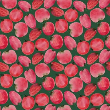 Seamless pattern, red tomatoes on a green background. Stock Illustration