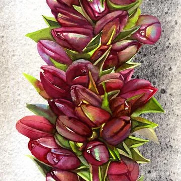 Seamless pattern red tulips on a gray background watercolor Stock Illustration