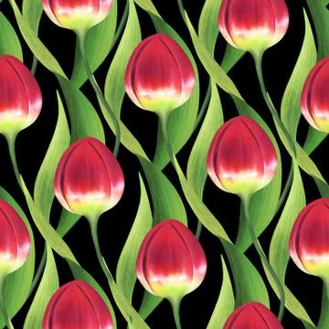 Seamless pattern with red tulips Stock Illustration