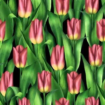 Seamless pattern with red tulips Stock-Illustration