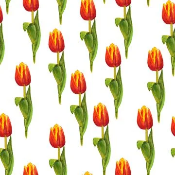 Seamless pattern with red tulips Stock Illustration