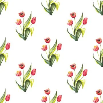 Seamless pattern of red tulips with leaves on white background, hand drawn Stock Illustration