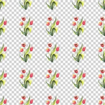 Seamless pattern of red tulips with leaves on white background, hand drawn Stock Illustration