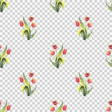 Seamless pattern of red tulips with leaves on white background, hand drawn Stock Illustration