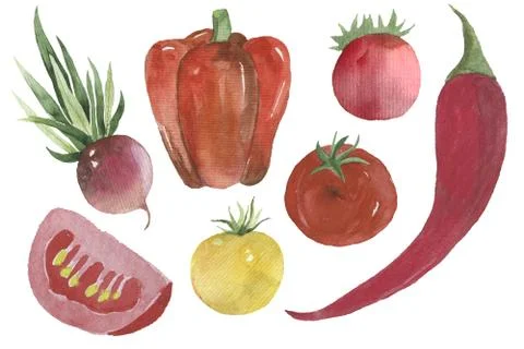 Seamless pattern with red vegetables on a dark red background. Tomatoes, hot Stock Illustration