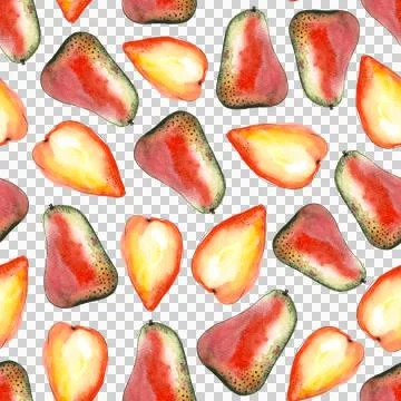 Seamless pattern of red watercolor pears, hand painted on white background Stock Illustration