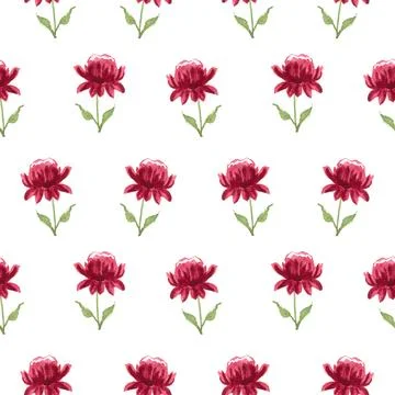Seamless pattern of red watercolor peony flower, hand drawn on white background Stock Illustration