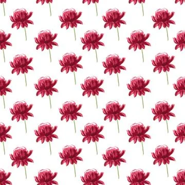 Seamless pattern of red watercolor peony flower, hand drawn on white background Stock Illustration