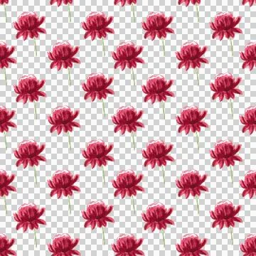 Seamless pattern of red watercolor peony flower, hand drawn on white background Stock Illustration