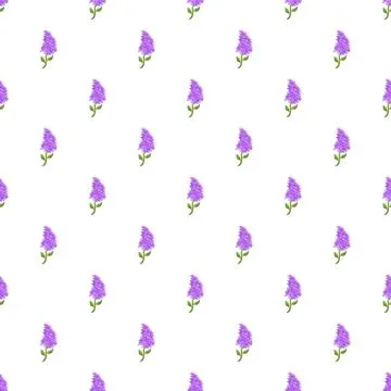 Seamless pattern with repeating purple lilac floral elements Illustrazione stock