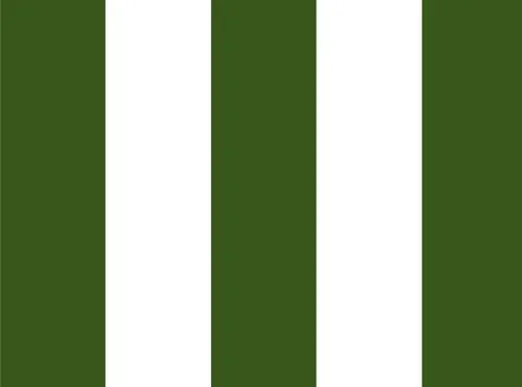 Seamless pattern of repetitive strips of dark green and white color. Graphics 스톡 일러스트