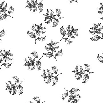 Seamless pattern retro nettle sketch hand drawn Stock Illustration