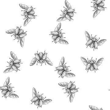 Seamless pattern Rhinoceros beetle flying with spread wings drawing illustr.. Illustrazione stock