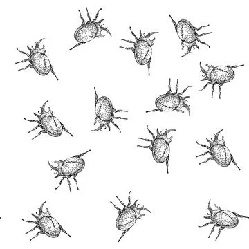 Seamless pattern Rhinoceros beetle insect drawing line art illustration Stock Illustration