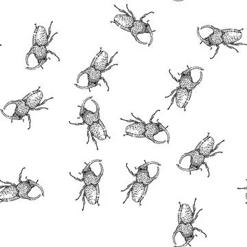Seamless pattern Rhinoceros beetle insect drawing standing illustration イラスト素材