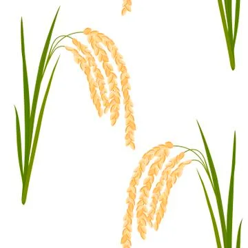 Seamless pattern with rice. Leaves and spikelets  Illustrazione stock