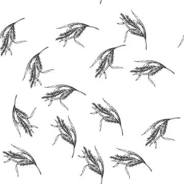 Seamless pattern rice plant sketch hand drawn 스톡 일러스트