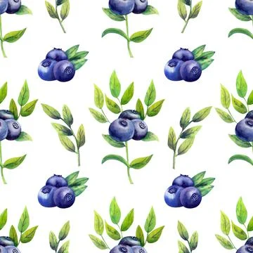 Seamless pattern with ripe blueberries on white isolated background. Watercolor Stock Illustration