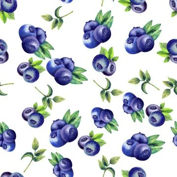 Seamless pattern with ripe blueberries on white isolated background. Watercolor Illustrazione stock