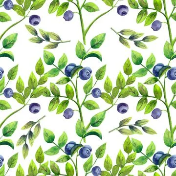 Seamless pattern with ripe blueberries on white isolated background. Watercolor Stock Illustration