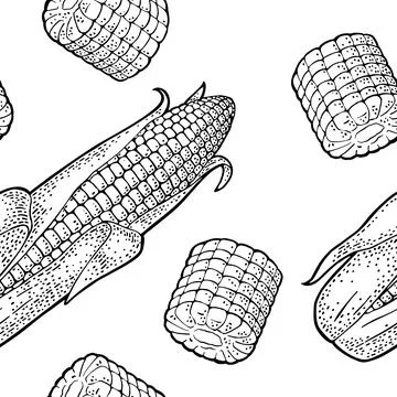 Seamless pattern ripe corn cob with and without leaves. Vector vintage engrav Stock Illustration