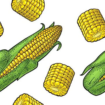 Seamless pattern ripe corn cob with and without leaves. Vector color vintage  Stock Illustration