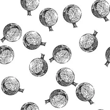 Seamless pattern ripe gooseberry sketch hand drawn Stock Illustration