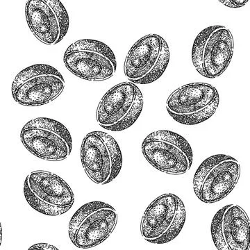 Seamless pattern ripe longan fruit sketch hand drawn Stock Illustration