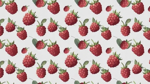 Seamless pattern of ripe raspberries Stock Footage 275205321