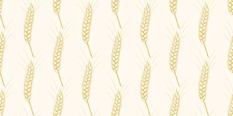 Seamless pattern of ripe wheat ears Stock Illustration