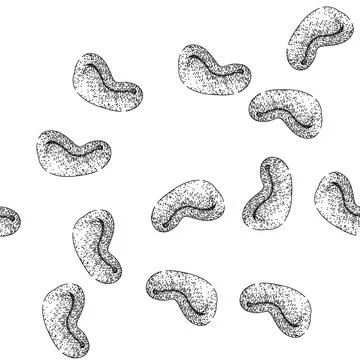 Seamless pattern roasted cashew nut sketch hand drawn Stock Illustration
