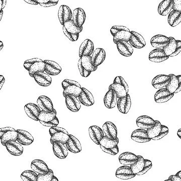 Seamless pattern robusta cofeee bean sketch hand drawn Stock Illustration
