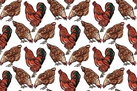 Seamless pattern. A rooster with chickens on a white background, the color of Stock Illustration