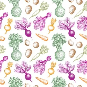 Seamless pattern with root vegetables. Stock Illustration