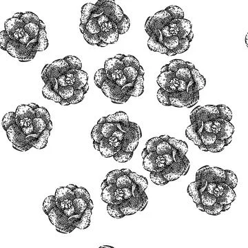 Seamless pattern rose camellia sketch hand drawn イラスト素材