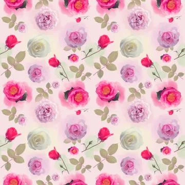 Seamless   pattern with rose flowers Stock Illustration