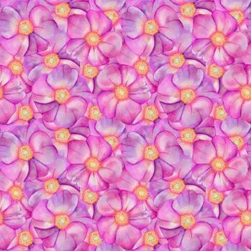 Seamless pattern with rose hips. Stock Illustration