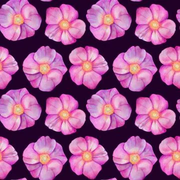 Seamless pattern with rose hips. Stock Illustration