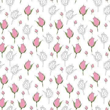Seamless pattern Rose illustration on white background Stock Illustration