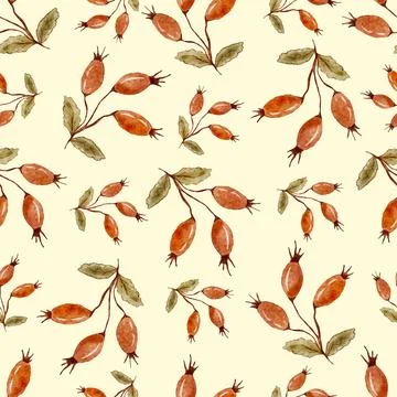 Seamless pattern with rosehip berries and leaves vector background. Wild rose Stock Illustration
